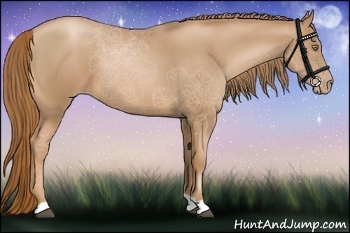 Horse Color:Chestnut Pearl