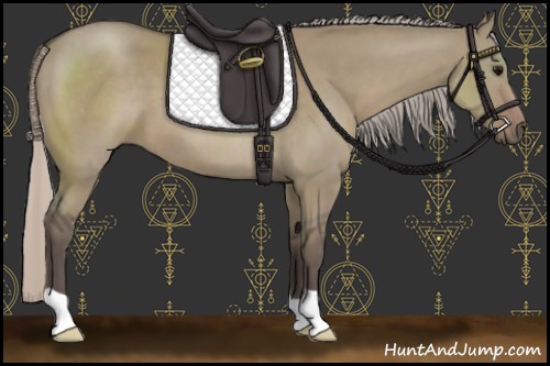 Horse Color:Silver Grullo 