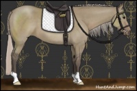 Horse Color:Silver Grullo 