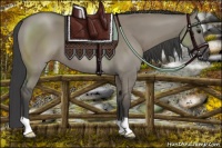 Horse Color:Smoky Grullo 