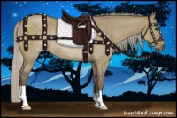 Horse Color:Silver Grullo Rabicano