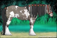 Horse Color:White Spotted Smoky Grullo Sabino 