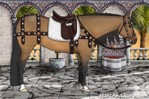 Horse Color:Brown Dun