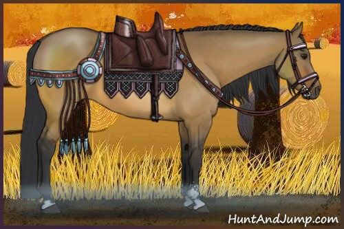 Horse Color:Brown Dun Sabino