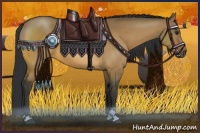 Horse Color:Brown Dun Sabino