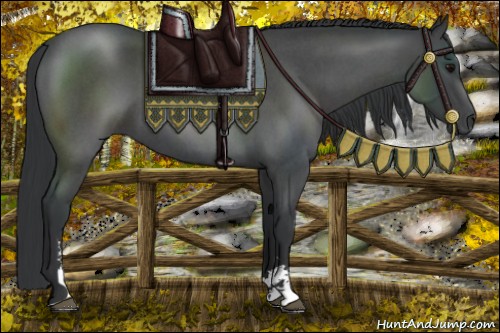 Horse Color:Blue Roan Sabino