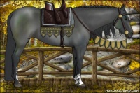 Horse Color:Blue Roan Sabino