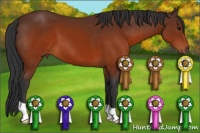 Horse Color:Brown 