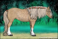 Horse Color:Palomino Rabicano