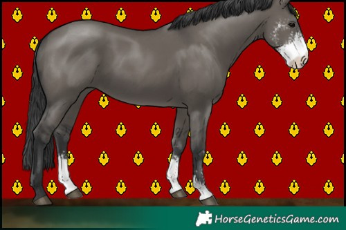 Horse Color:Grullo Sabino 