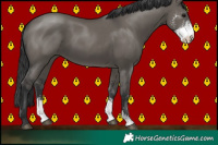 Horse Color:Grullo Sabino 