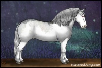 Horse Color:Silver Smoky Grullo Chinchilla Sabino Splash 
