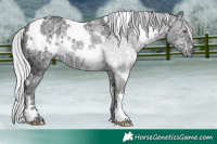 Horse Color:White Spotted Silver Bay Chinchilla Ice 