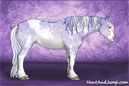Horse Color:Watercolor White Spotted Silver Brown Chinchilla Dun Splash
