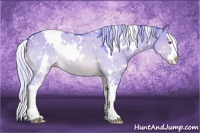 Horse Color:Watercolor White Spotted Silver Brown Chinchilla Dun Splash 