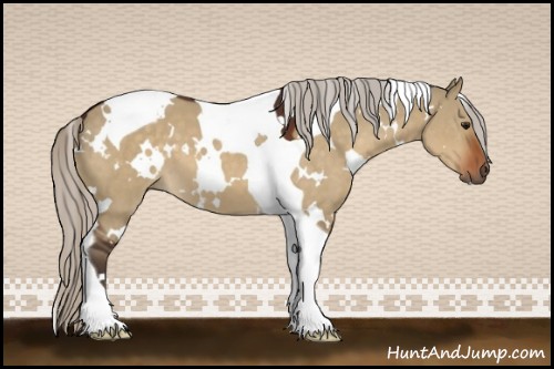 Horse Color:White Spotted Silver Brown Dun Tobiano 