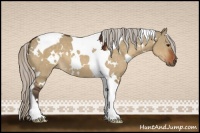 Horse Color:White Spotted Silver Brown Dun Tobiano 