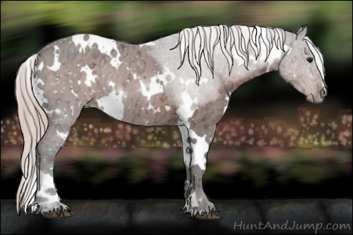 Horse Color:White Spotted Silver Brown Ice 