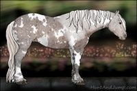 Horse Color:White Spotted Silver Brown Ice 