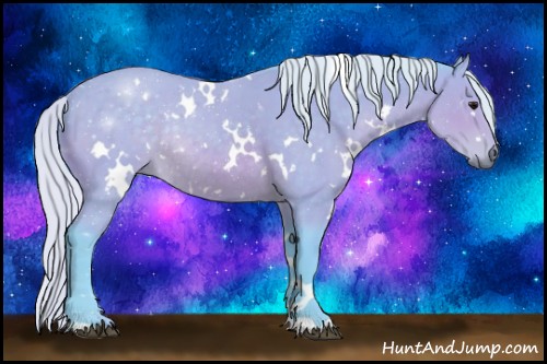 Horse Color:Watercolor White Spotted Silver Brown Rabicano 