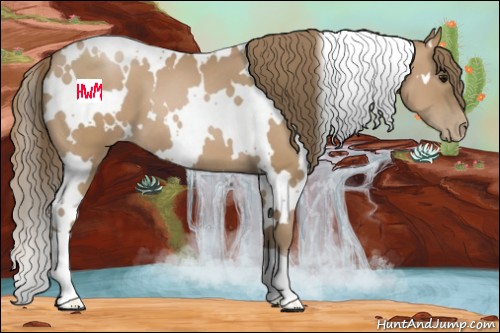 Horse Color:White Spotted Black Pearl 