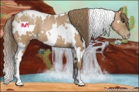 Horse Color:White Spotted Black Pearl 
