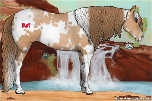 Horse Color:White Spotted Bay Pearl