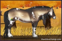 Horse Color:White Spotted Brown Onyx 
