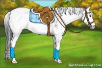 Horse Color:Brown Dun Sabino