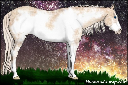 Horse Color:Silver Sable Champagne Ice Sabino Frame Rabicano 