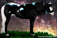 Horse Color:Silver Sable Champagne Ice Sabino Frame 