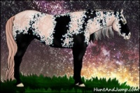 Horse Color:Watercolor White Spotted Gold Champagne Ice