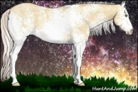 Horse Color:White Spotted Silver Sable Champagne Ice Dun 