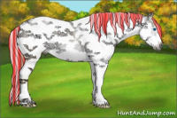 Horse Color:Gray Painted Brown Ice Pearl Sabino Splash Tobiano Frame 