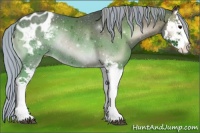 Horse Color:Painted Silver Blue Onyx Splash Appaloosa Rabicano 