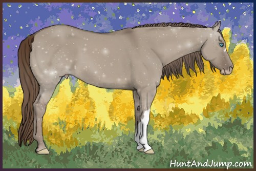 Horse Color:Gray Smoky Creme Dun 