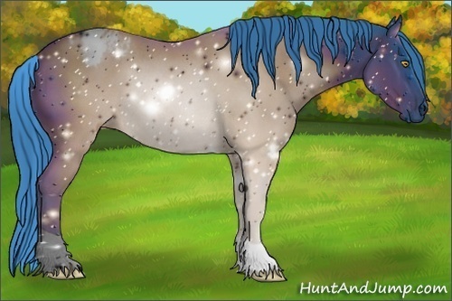 Horse Color:ERROR: UNKNOWN ANOMALY