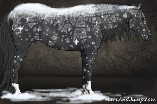 Horse Color:Black Ice
