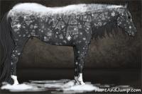 Horse Color:Black Ice