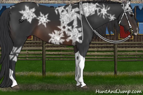 Horse Color:Brown Ice Tobiano