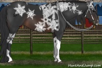 Horse Color:Brown Ice Tobiano 