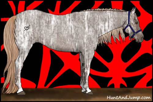 Horse Color:Liver Red Ice Roan