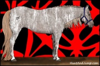 Horse Color:Liver Red Ice Roan 