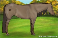 Horse Color:Liver Red Dun 