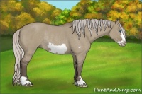 Horse Color:Silver Grullo Roan Frame Rabicano