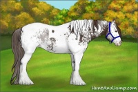 Horse Color:White Spotted Liver Chestnut Tobiano Varnish 