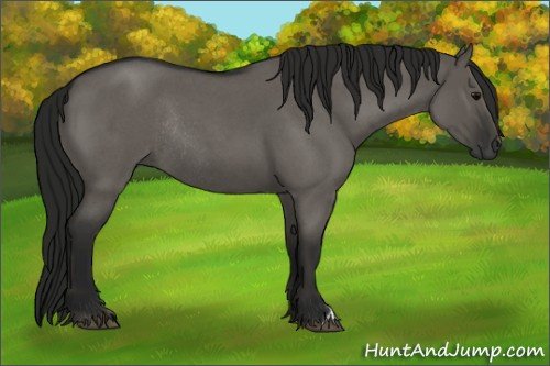 Horse Color:Gray Grullo Roan Rabicano 