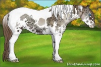 Horse Color:Blue Onyx Ice Pearl Splash Tobiano