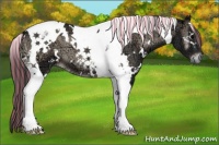Horse Color:Painted White Spotted Blue Onyx Ice Tobiano 