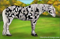 Horse Color:Plaid  Silver Smoky Black Ice Near Leopard 